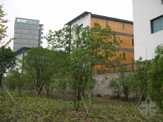 吴堡2017中国美术学院象山alc板材蒸压加气混凝土板材