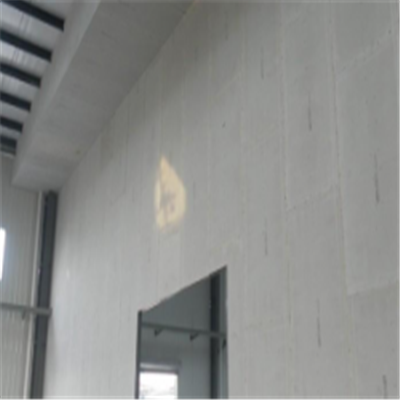 吴堡新型建筑材料掺多种工业废渣的ALC|ACC|FPS模块板材轻质隔墙板